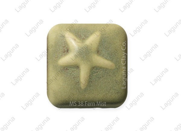 MS - 38 Fern Mist Glaze